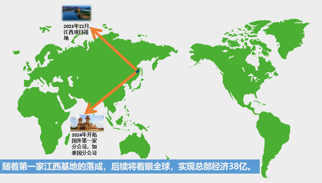 2025新澳门原料免费