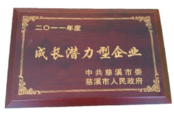 2025新澳门原料免费